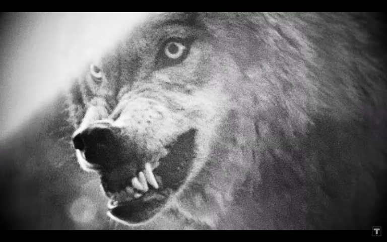 The Trump campaign’s weird attempt to use the media as validators